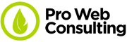 Pro Web Consulting