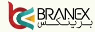 Branex Dubai SEO